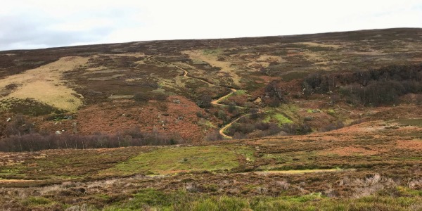 Clay Bank to Tripsdale circular walk